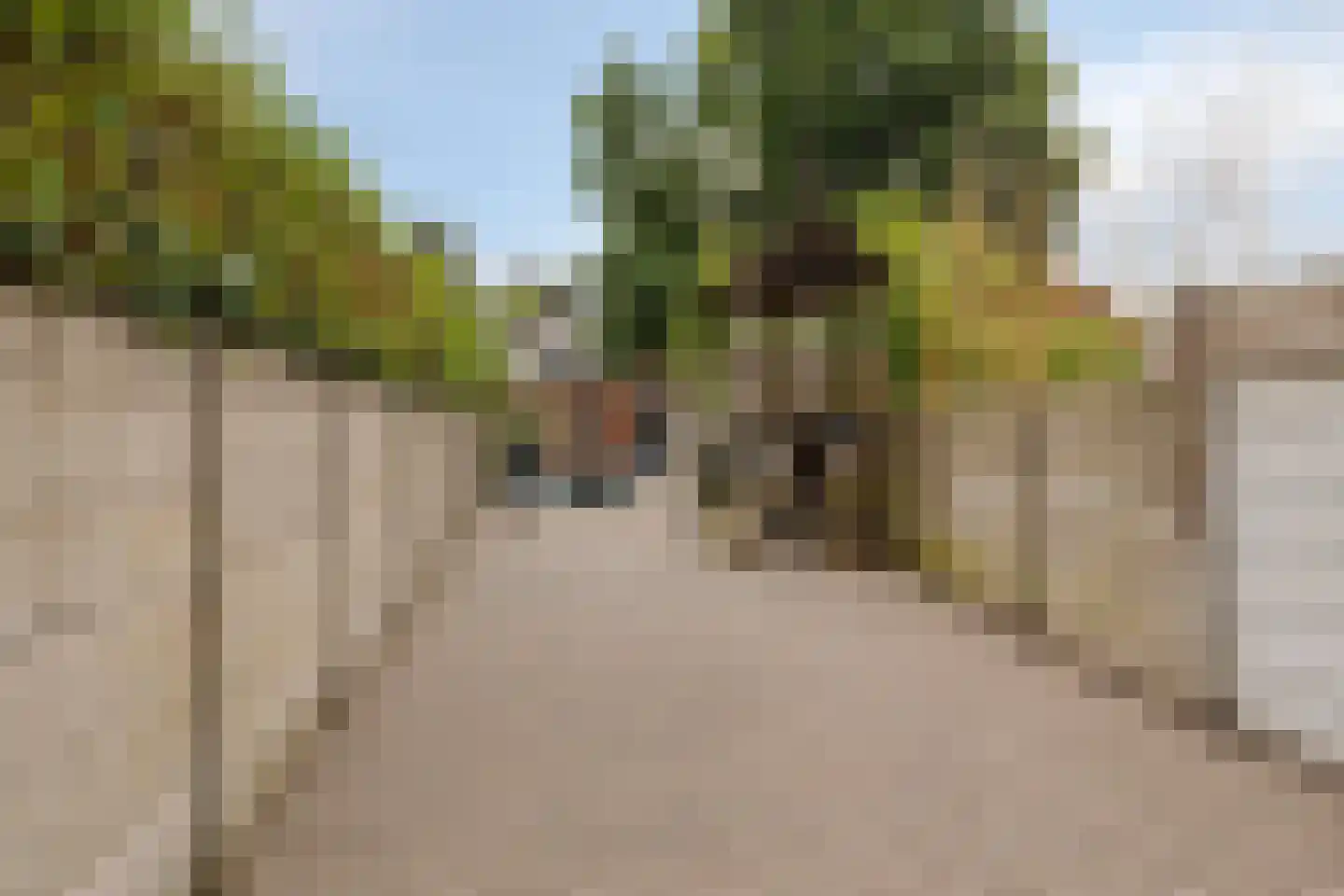 Hoefstraat 294 Tilburg thumbnail 34