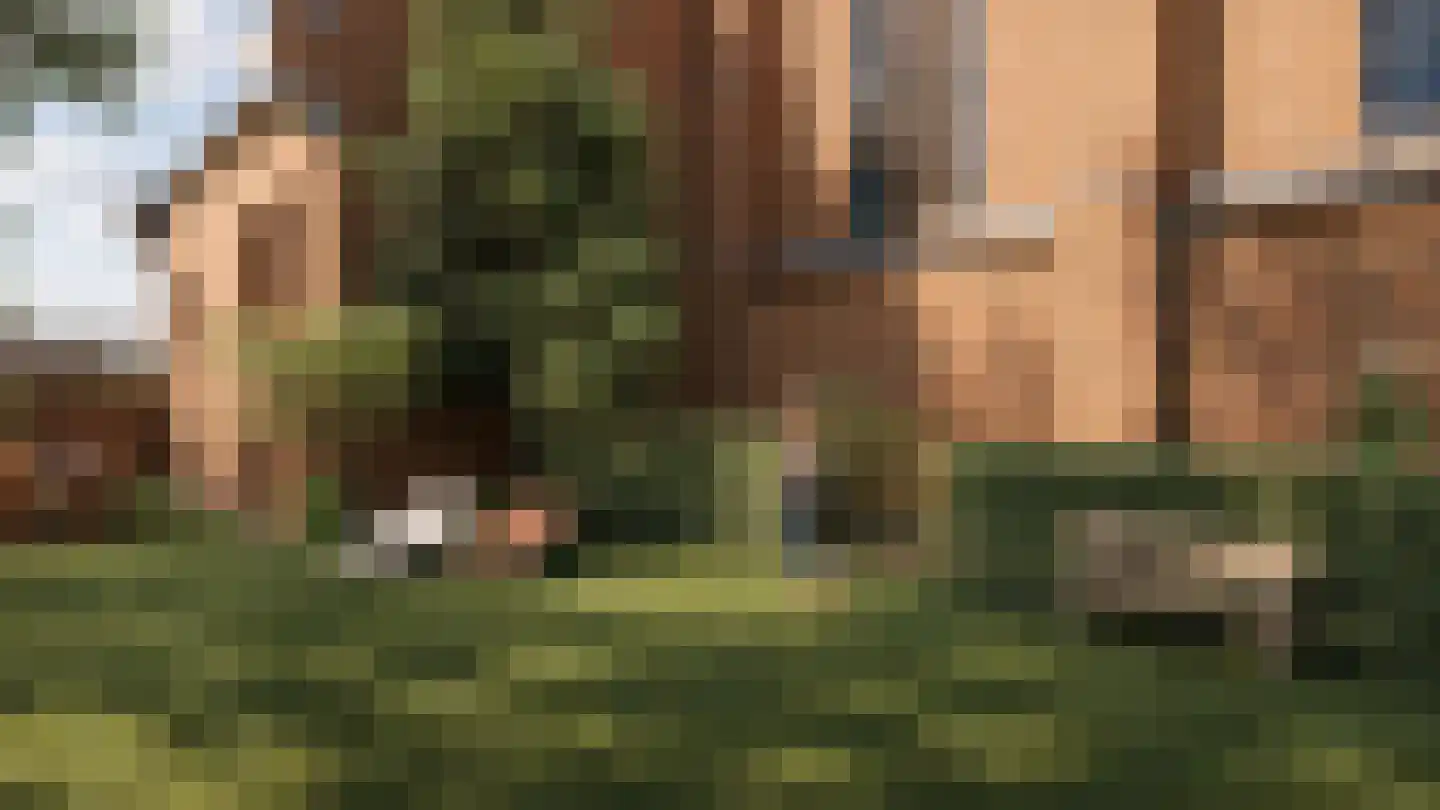 Hoefstraat 3 Tilburg thumbnail 42