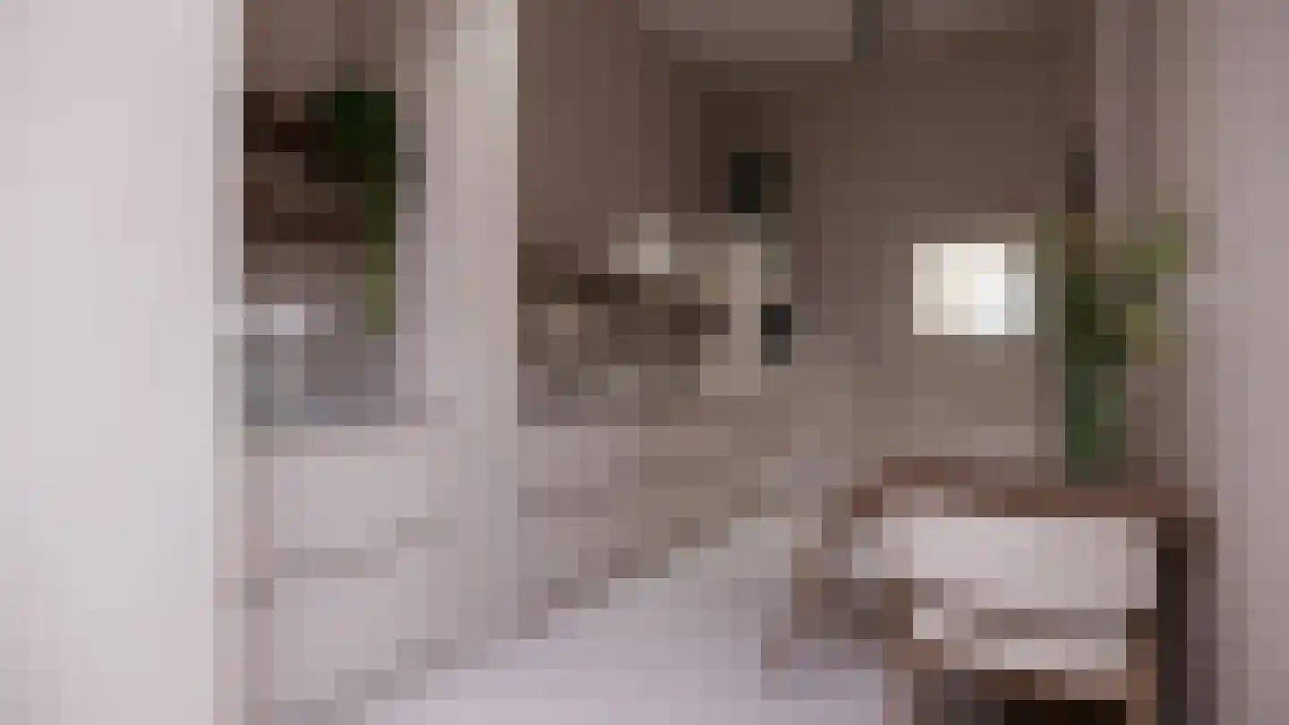 Hoefstraat 3 Tilburg thumbnail 5