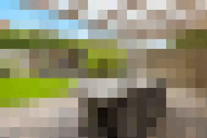 Hoefstraat 32 Heijen thumbnail 34