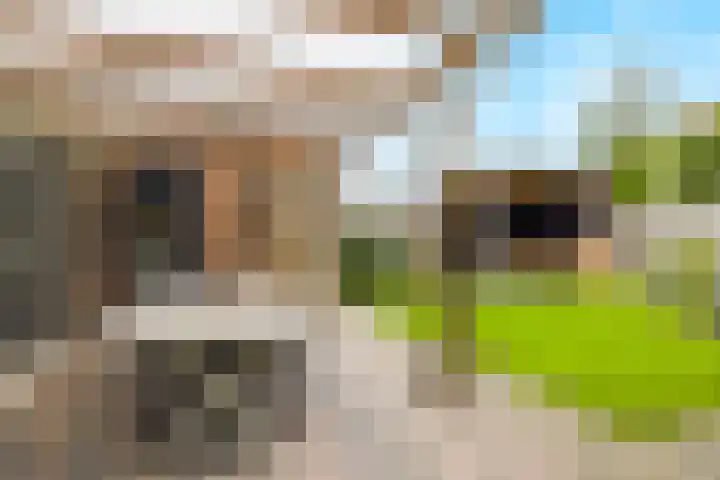 Hoefstraat 32 Heijen thumbnail 37