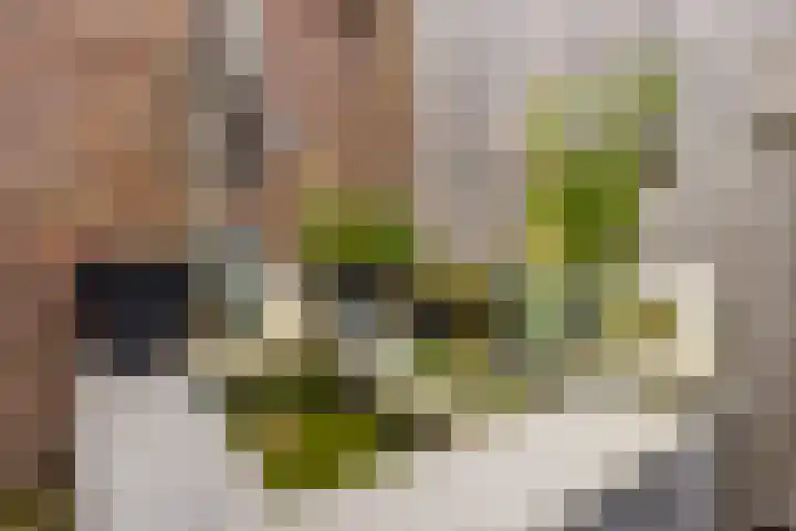 Hoefstraat 32 Heijen thumbnail 41