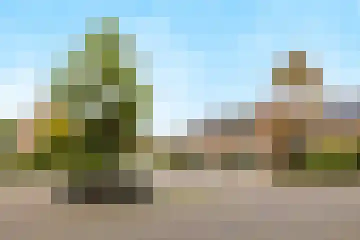 Hoefstraat 32 Heijen thumbnail 54