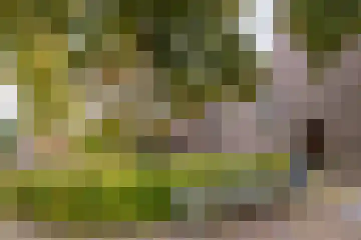 Hoefstraat 32 Heijen thumbnail 56
