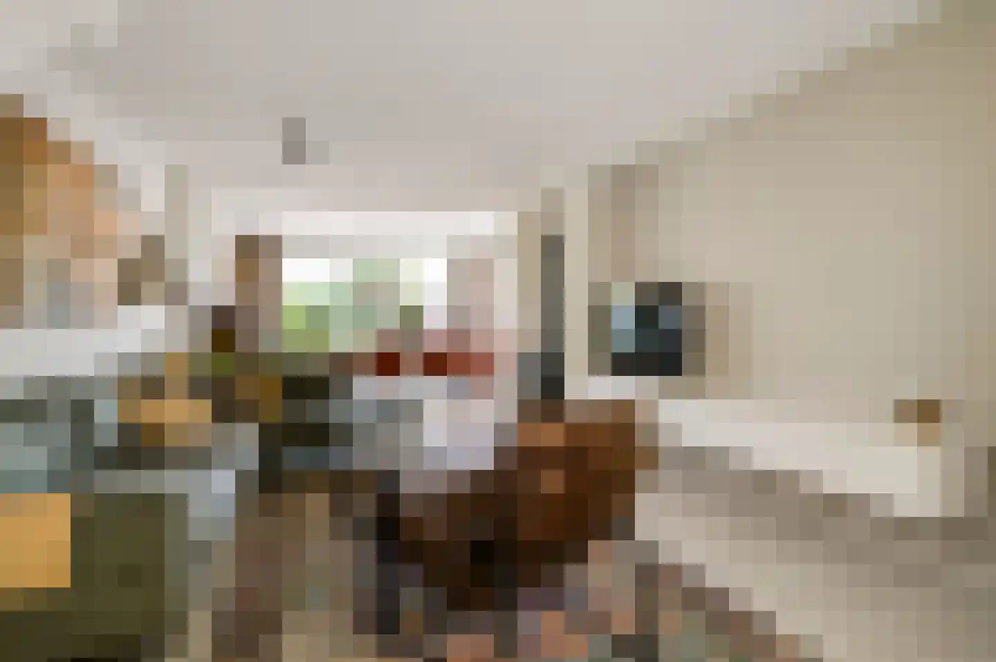 Hoefstraat 34 Horn thumbnail 10