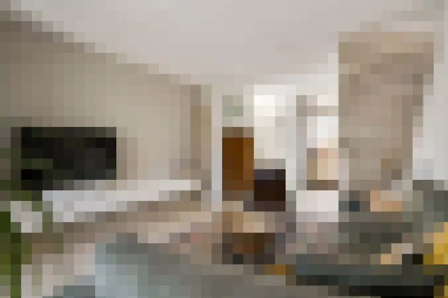 Hoefstraat 34 Horn thumbnail 13