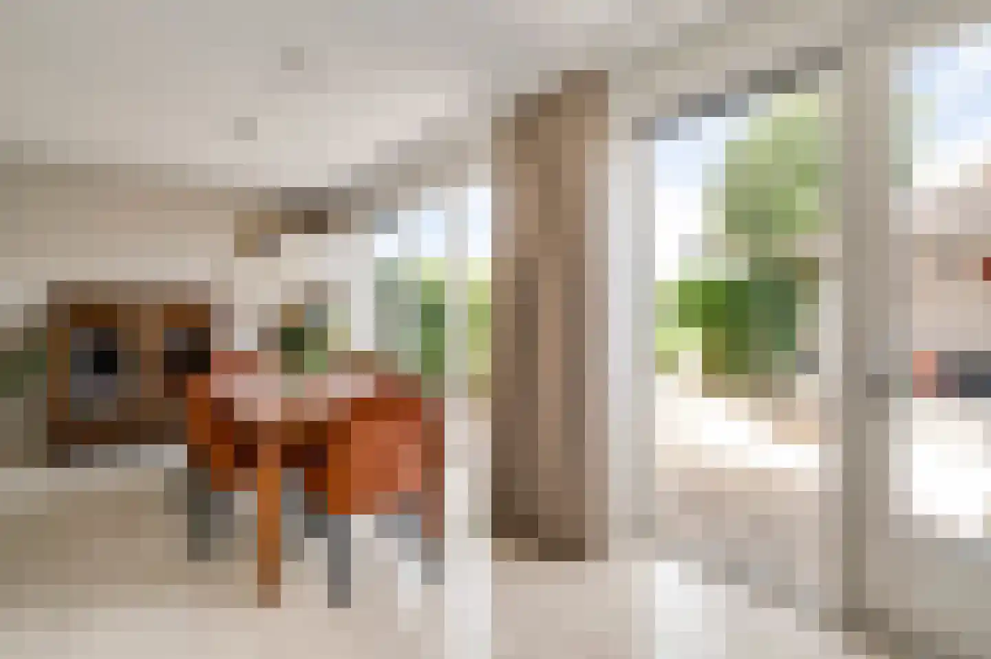 Hoefstraat 34 Horn thumbnail 18