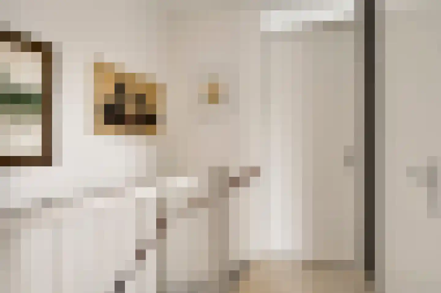 Hoefstraat 34 Horn thumbnail 28