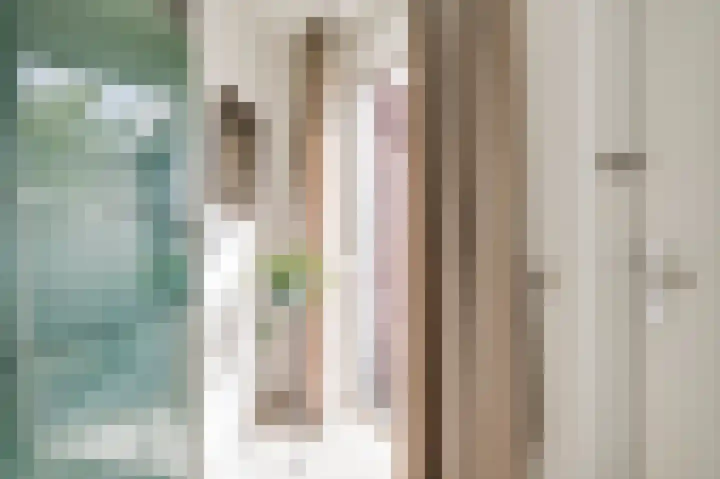 Hoefstraat 34 Horn thumbnail 7