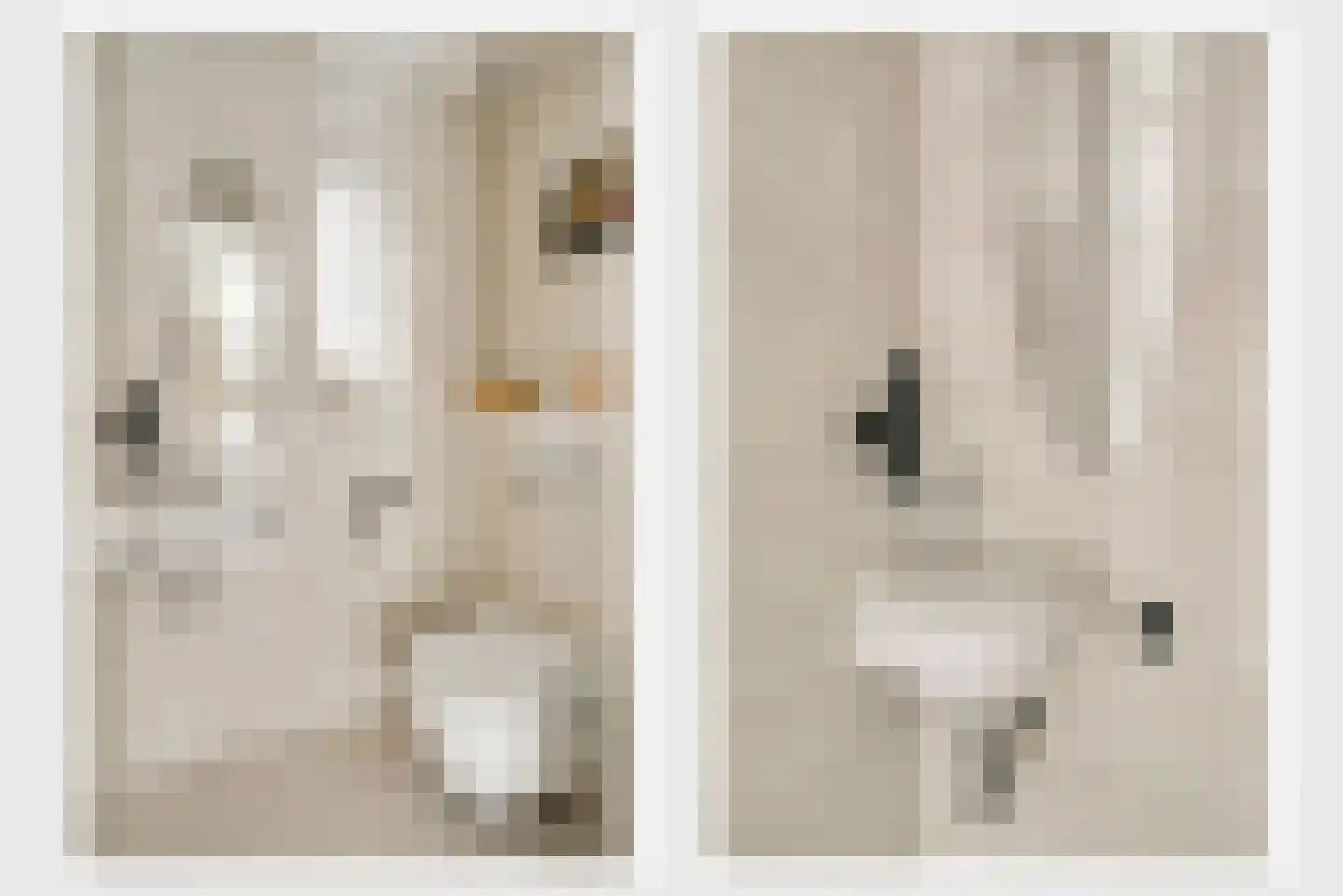 Hoefstraat 34 Horn thumbnail 9