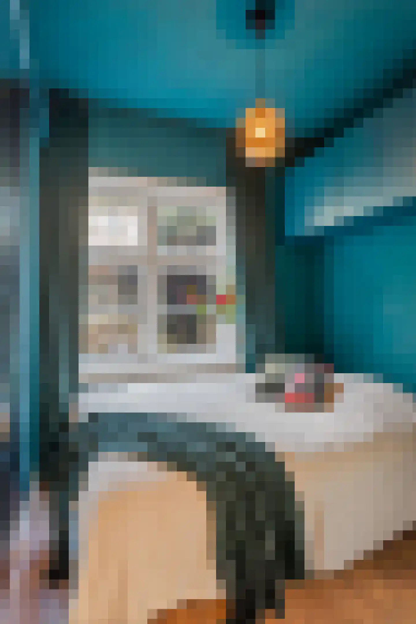 Hoefstraat 34 Leiden thumbnail 25