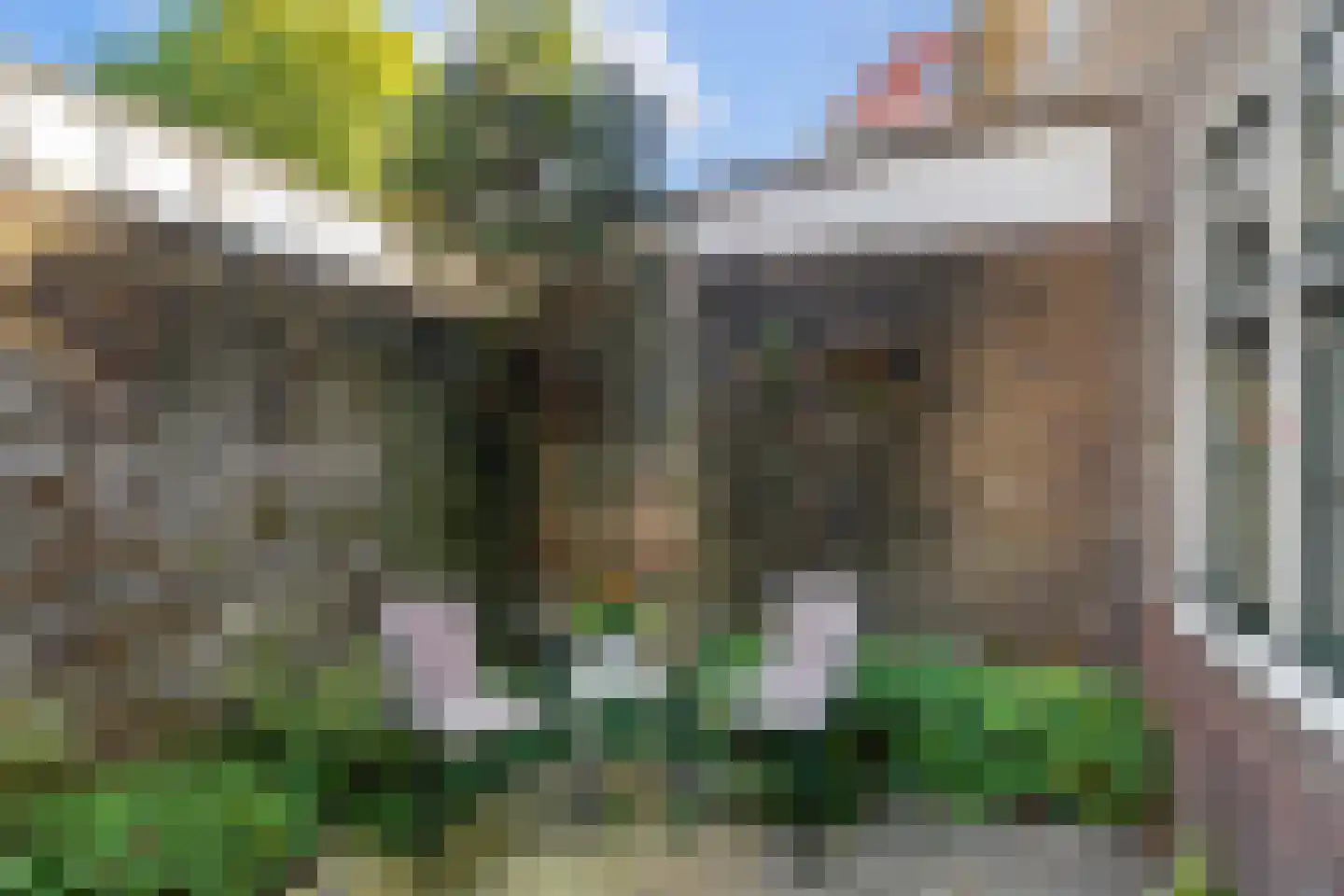 Hoefstraat 34 Leiden thumbnail 35