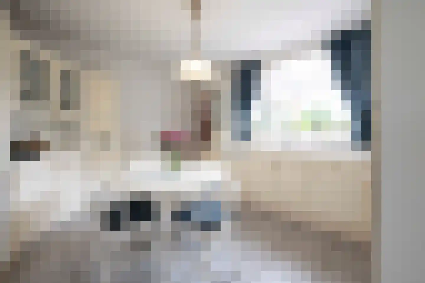 Hoefstraat 34 Zegge thumbnail 16