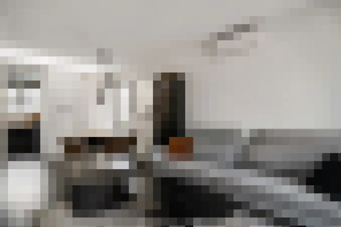 Hoefstraat 37 Horn thumbnail 10