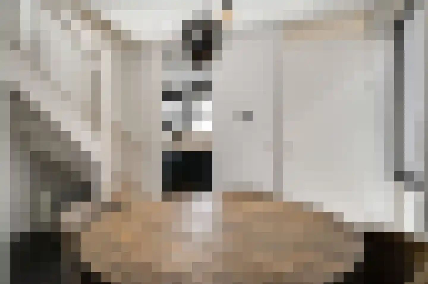 Hoefstraat 37 Horn thumbnail 12