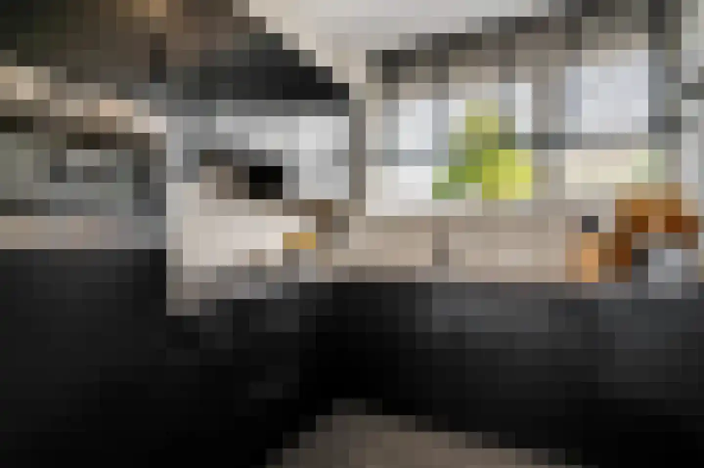 Hoefstraat 37 Horn thumbnail 13