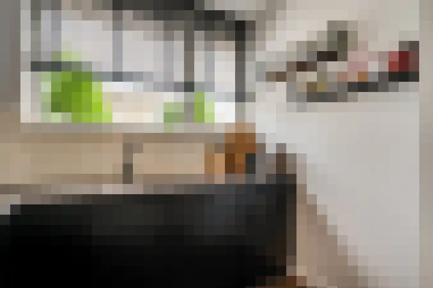 Hoefstraat 37 Horn thumbnail 14