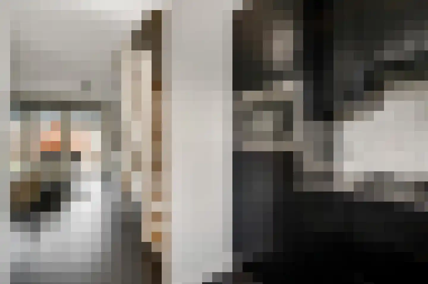 Hoefstraat 37 Horn thumbnail 15