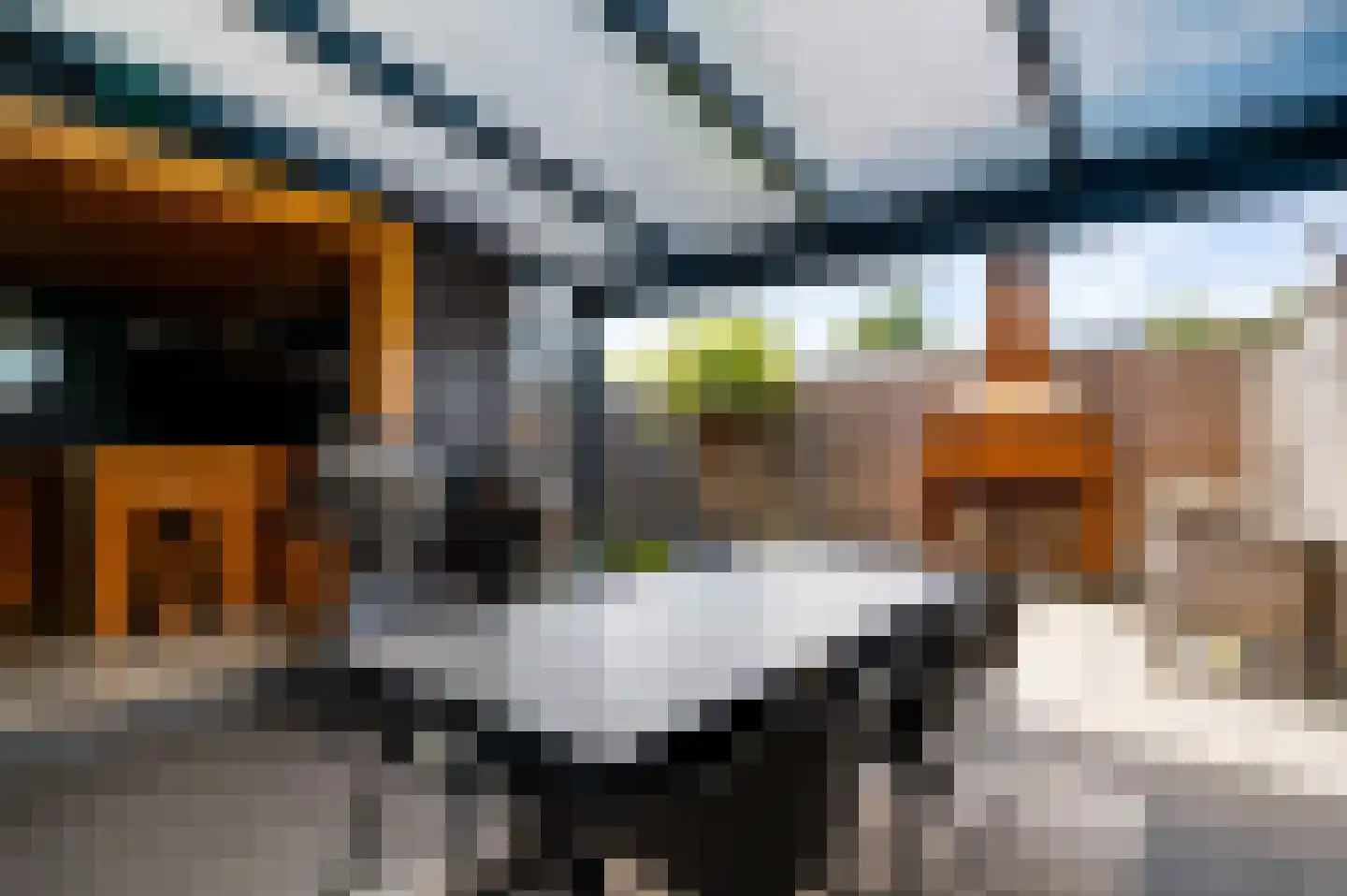 Hoefstraat 37 Horn thumbnail 16