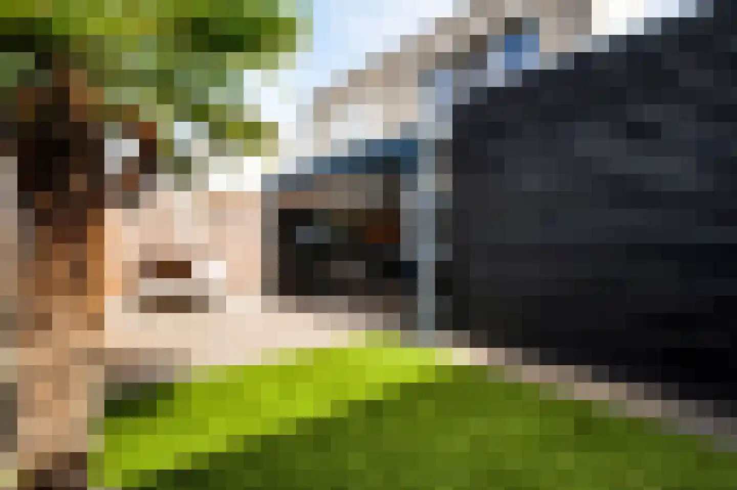 Hoefstraat 37 Horn thumbnail 21