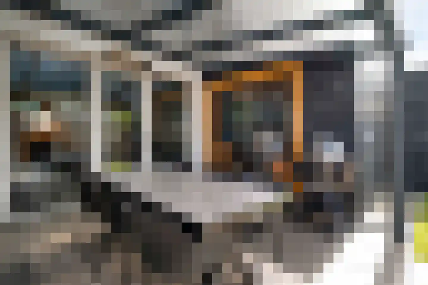 Hoefstraat 37 Horn thumbnail 23
