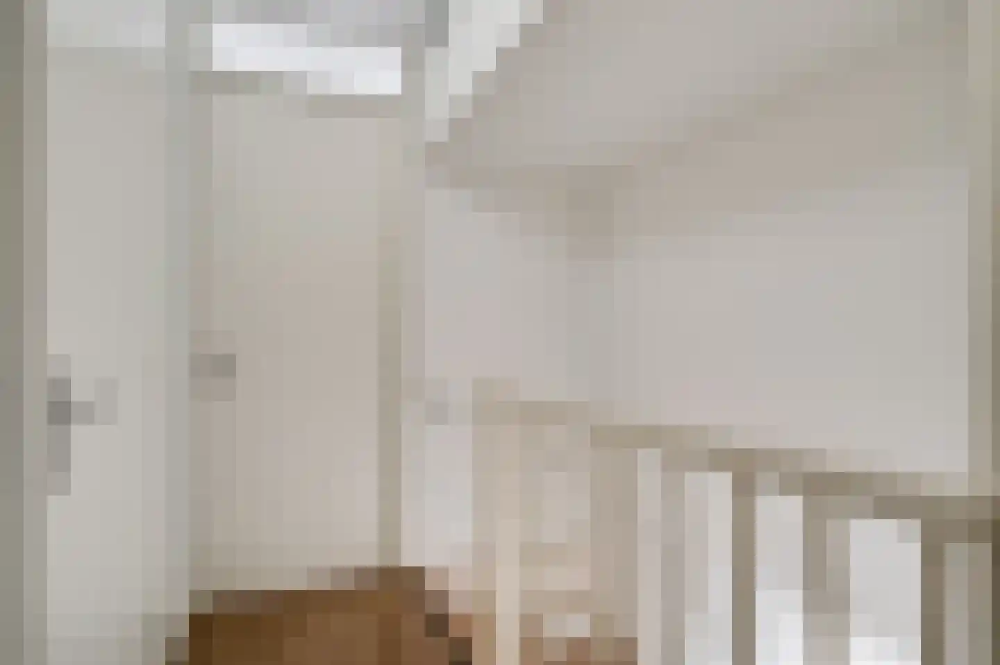 Hoefstraat 37 Horn thumbnail 24