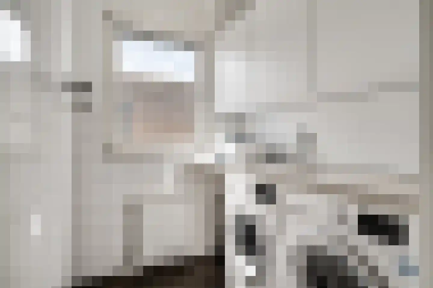 Hoefstraat 37 Horn thumbnail 25