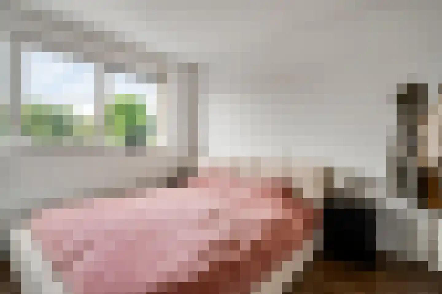 Hoefstraat 37 Horn thumbnail 26