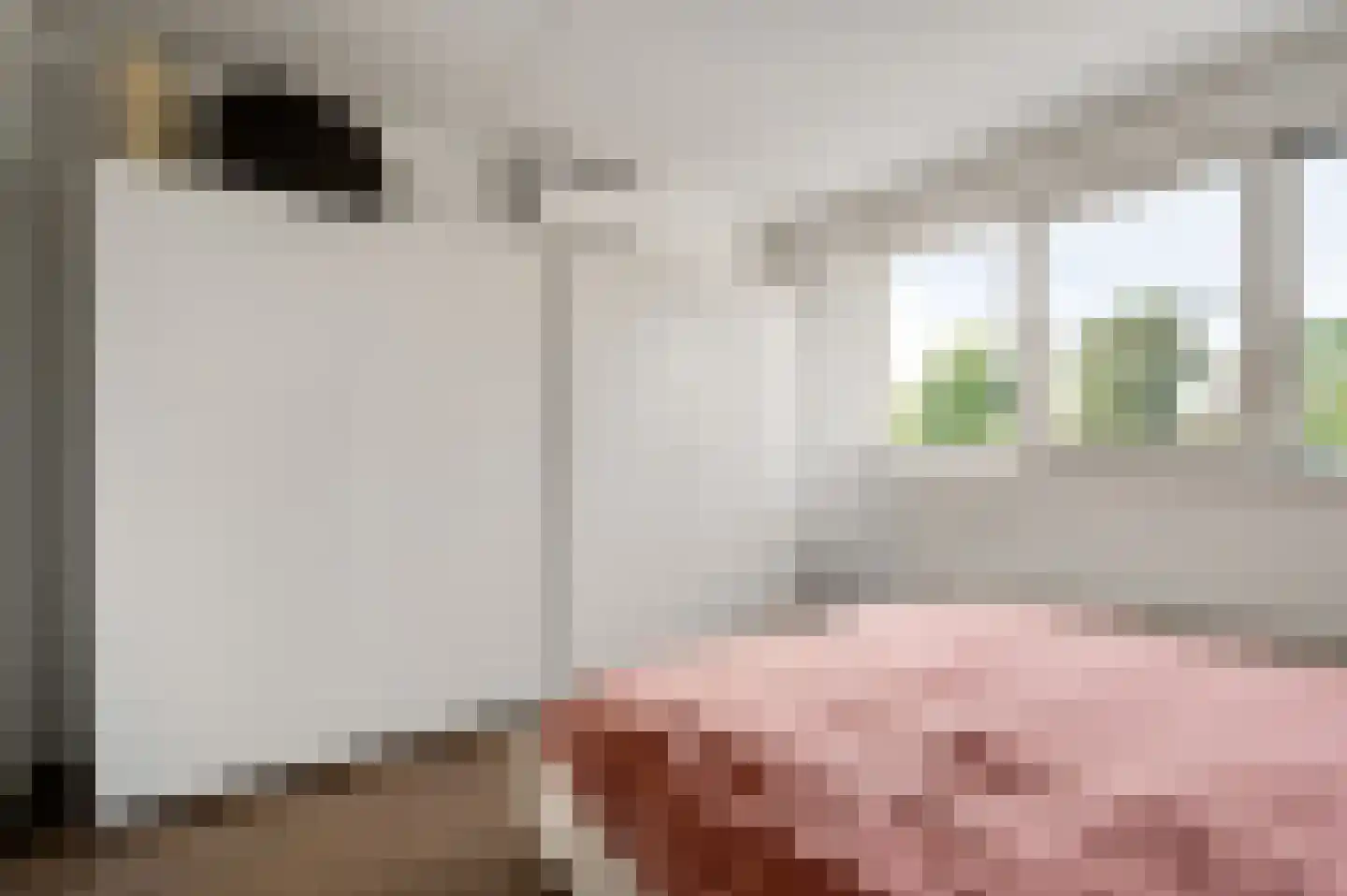 Hoefstraat 37 Horn thumbnail 27