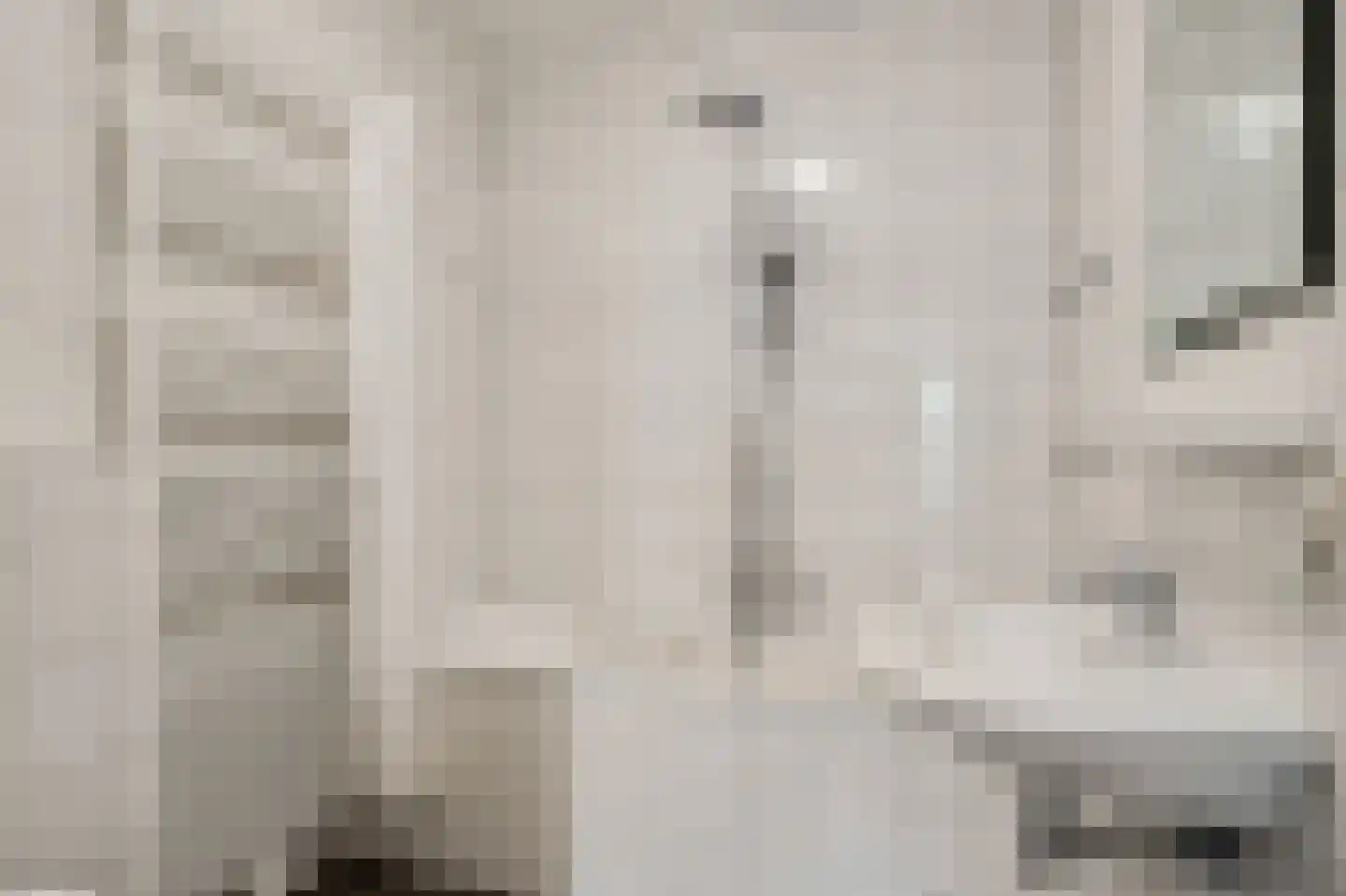 Hoefstraat 37 Horn thumbnail 28