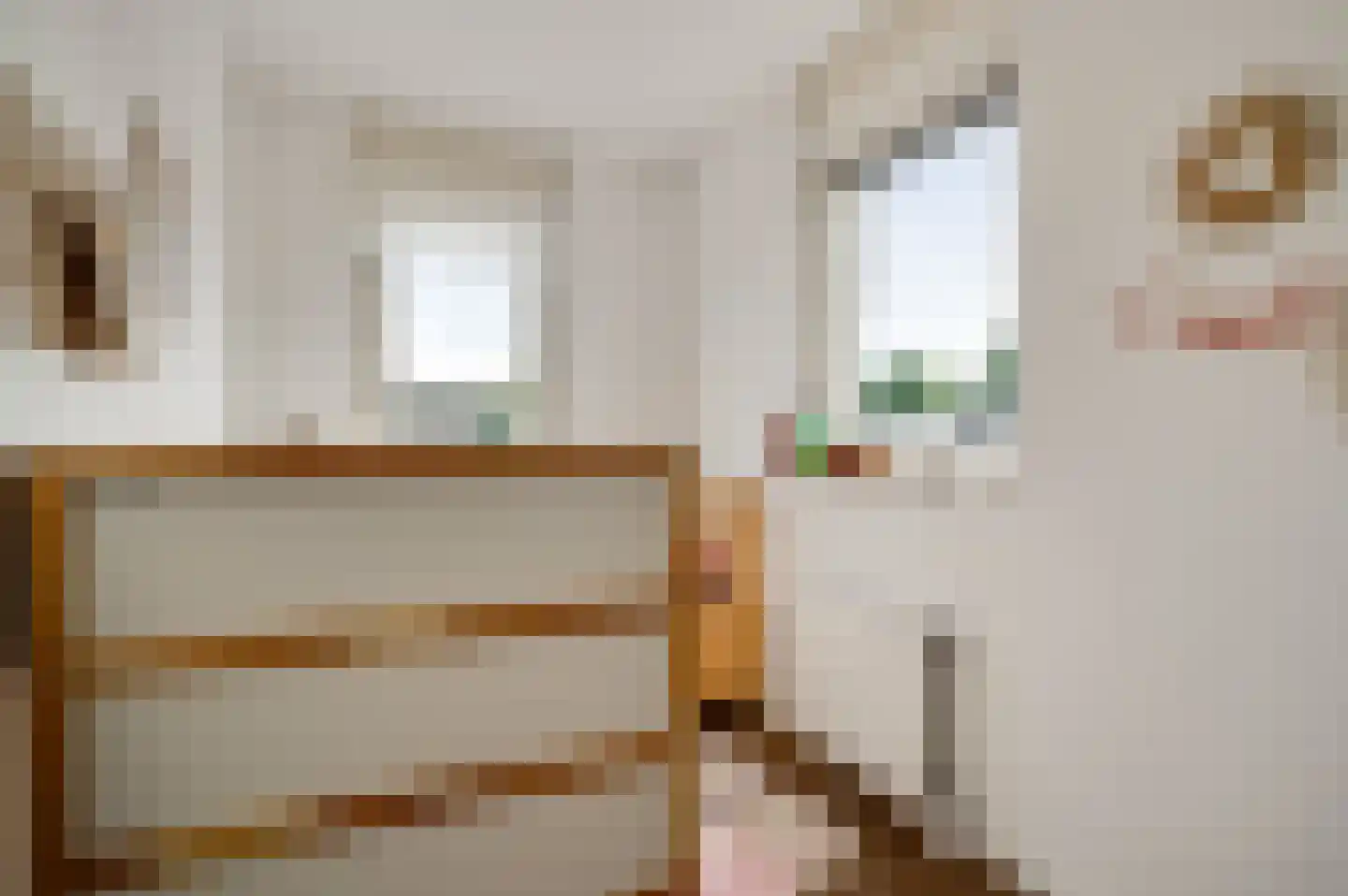 Hoefstraat 37 Horn thumbnail 33