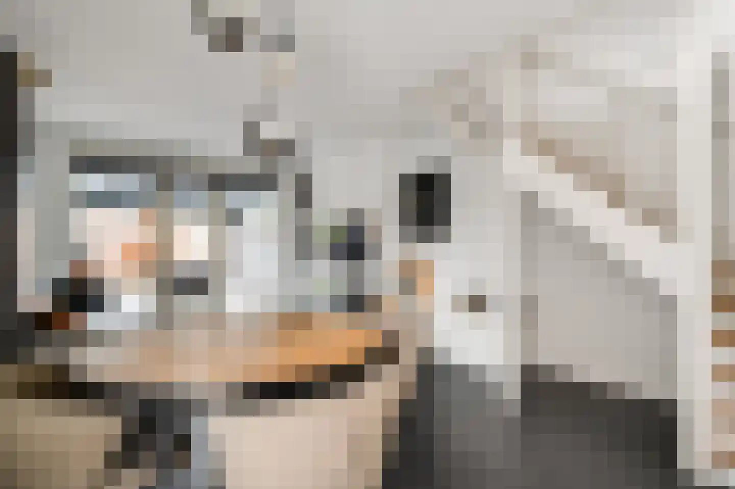 Hoefstraat 37 Horn thumbnail 7