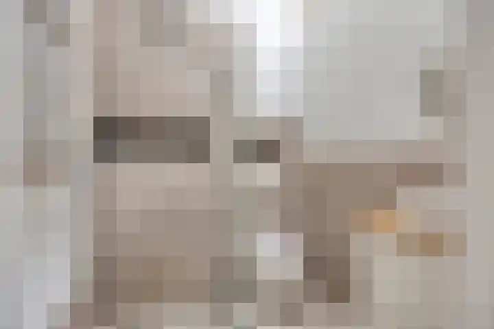 Hoefstraat 37 Tilburg thumbnail 23