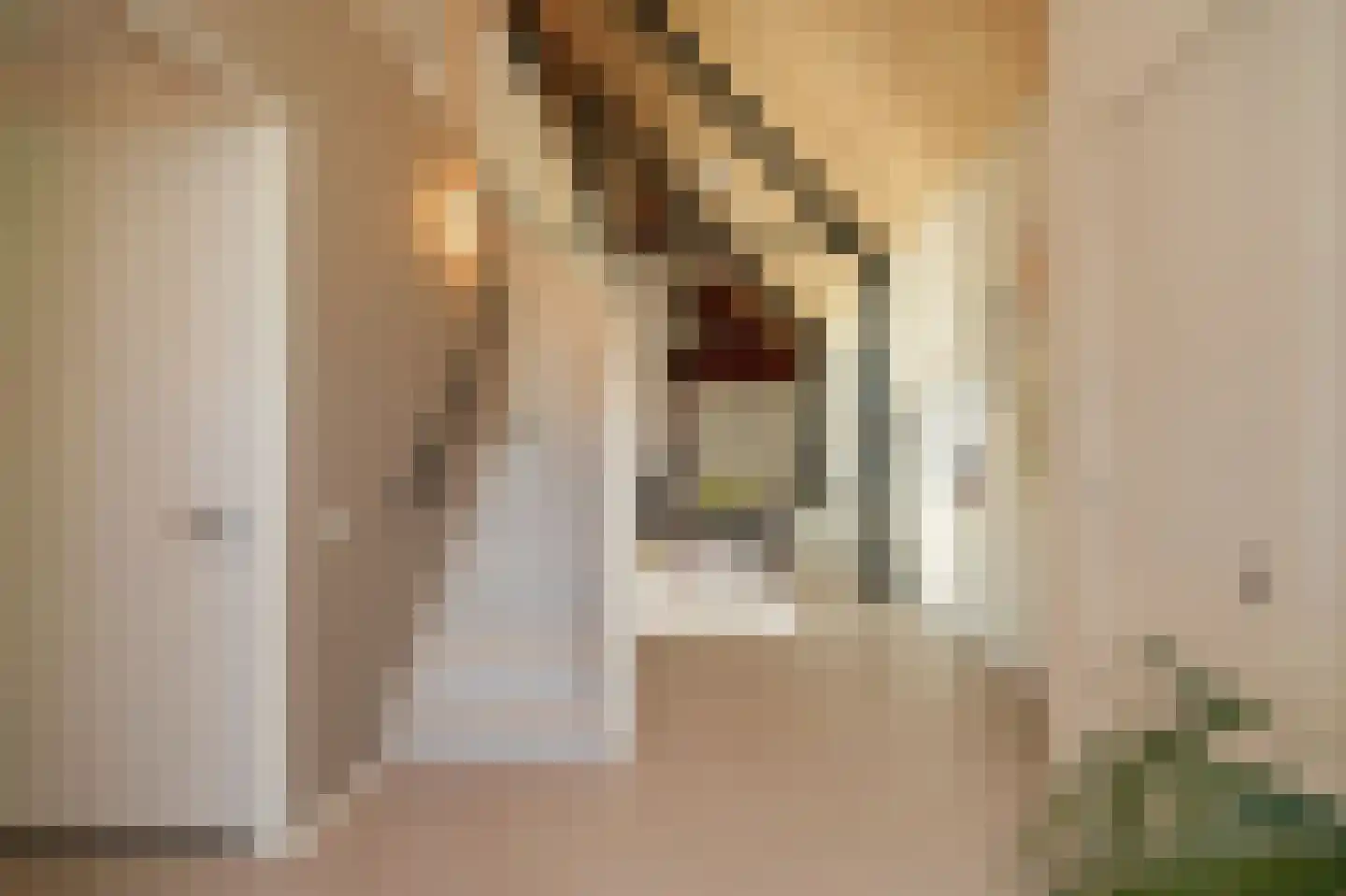 Hoefstraat 4 A Herpt thumbnail 27
