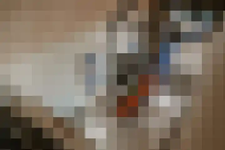 Hoefstraat 4 A Herpt thumbnail 29