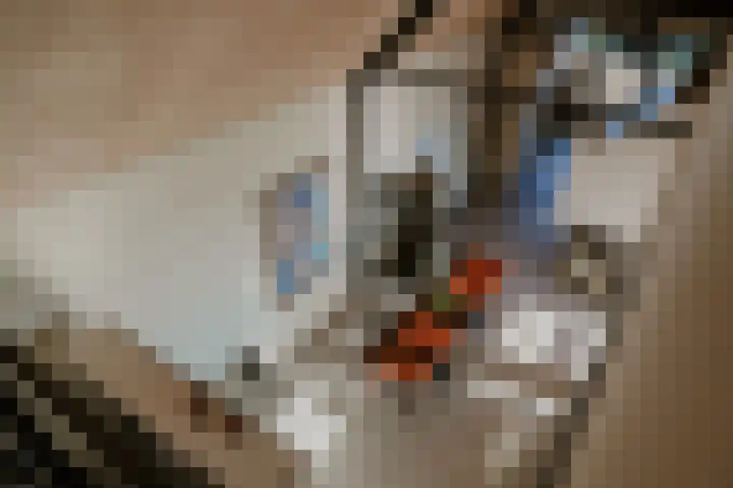 Hoefstraat 4 A Herpt thumbnail 29