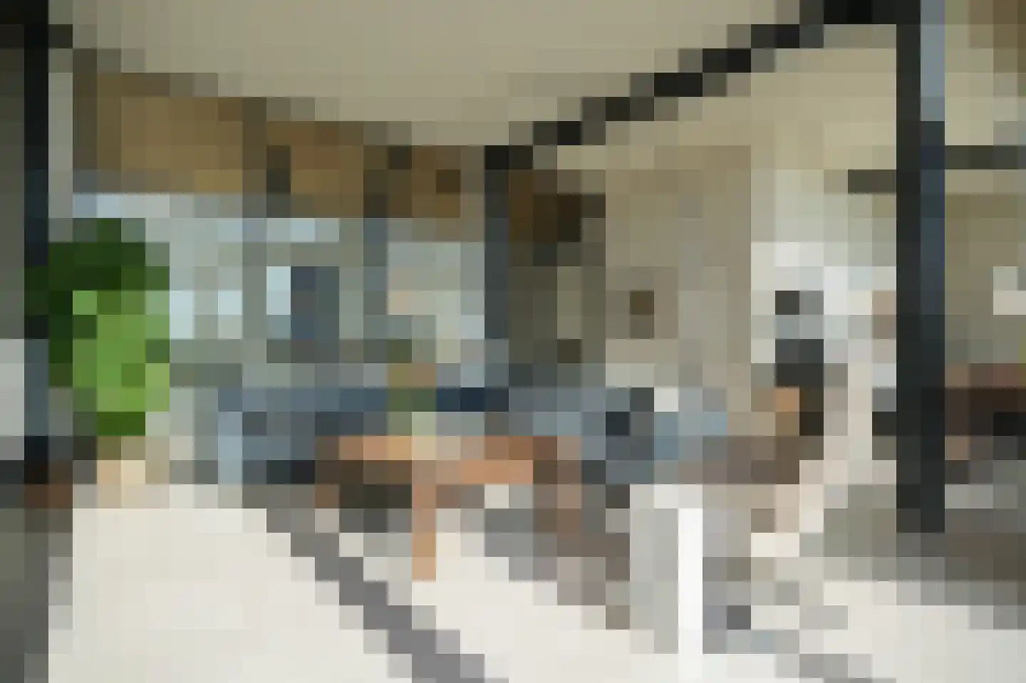 Hoefstraat 4 A Herpt thumbnail 8
