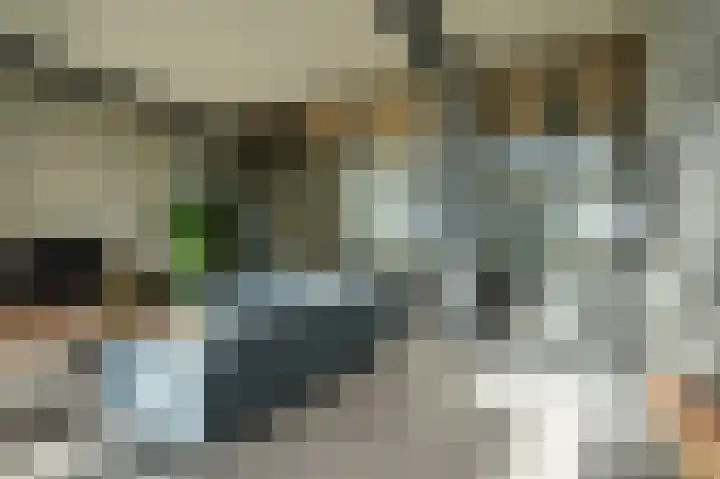 Hoefstraat 4 A Herpt thumbnail 9