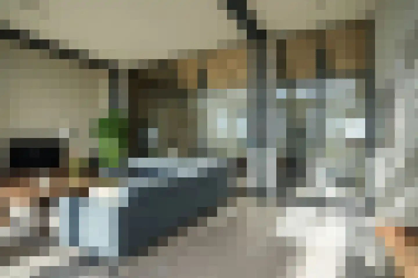 Hoefstraat 4 A Herpt thumbnail 9