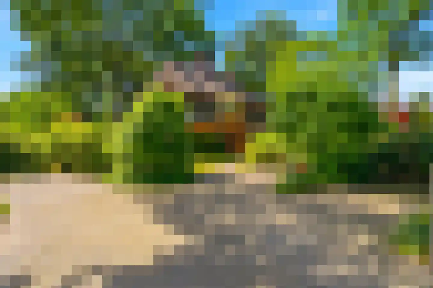 Hoefstraat 40 Sint Anthonis thumbnail 54