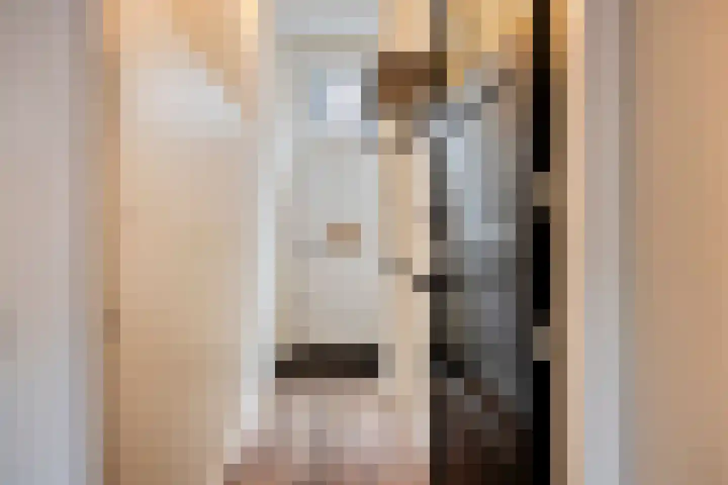 Hoefstraat 42 Leiden thumbnail 11