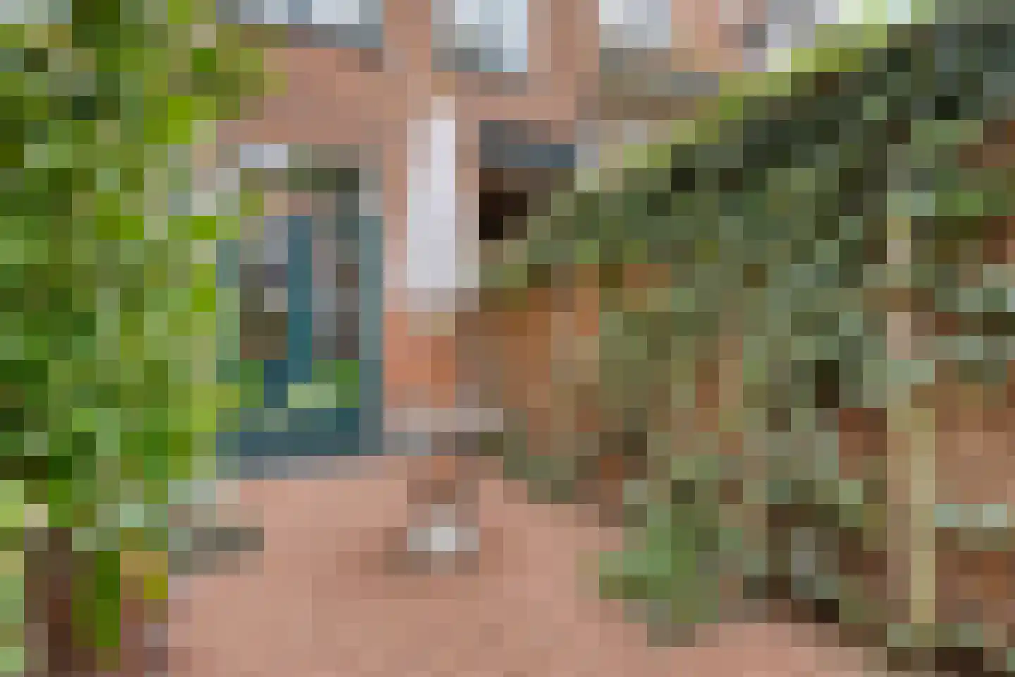 Hoefstraat 42 Leiden thumbnail 29