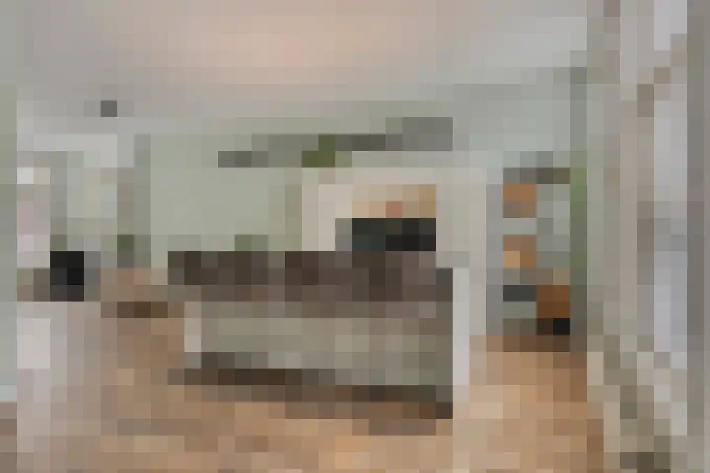 Hoefstraat 42 Leiden thumbnail 45