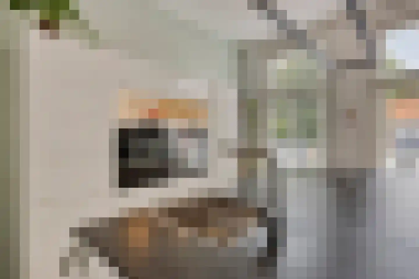 Hoefstraat 42 Leiden thumbnail 48