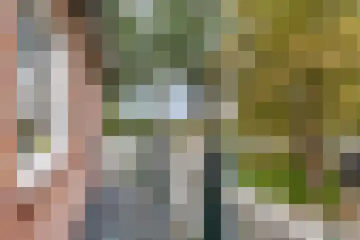 Hoefstraat 42 Sint Anthonis thumbnail 33