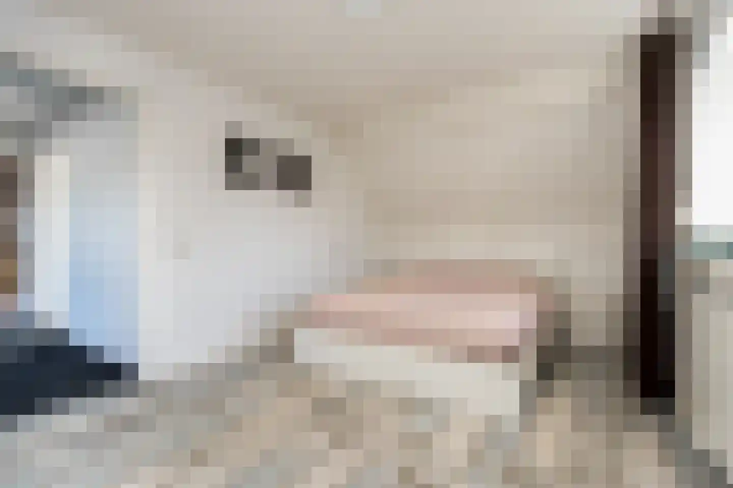 Hoefstraat 43 Genderen thumbnail 33