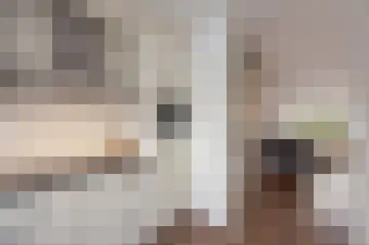 Hoefstraat 43 Horn thumbnail 11