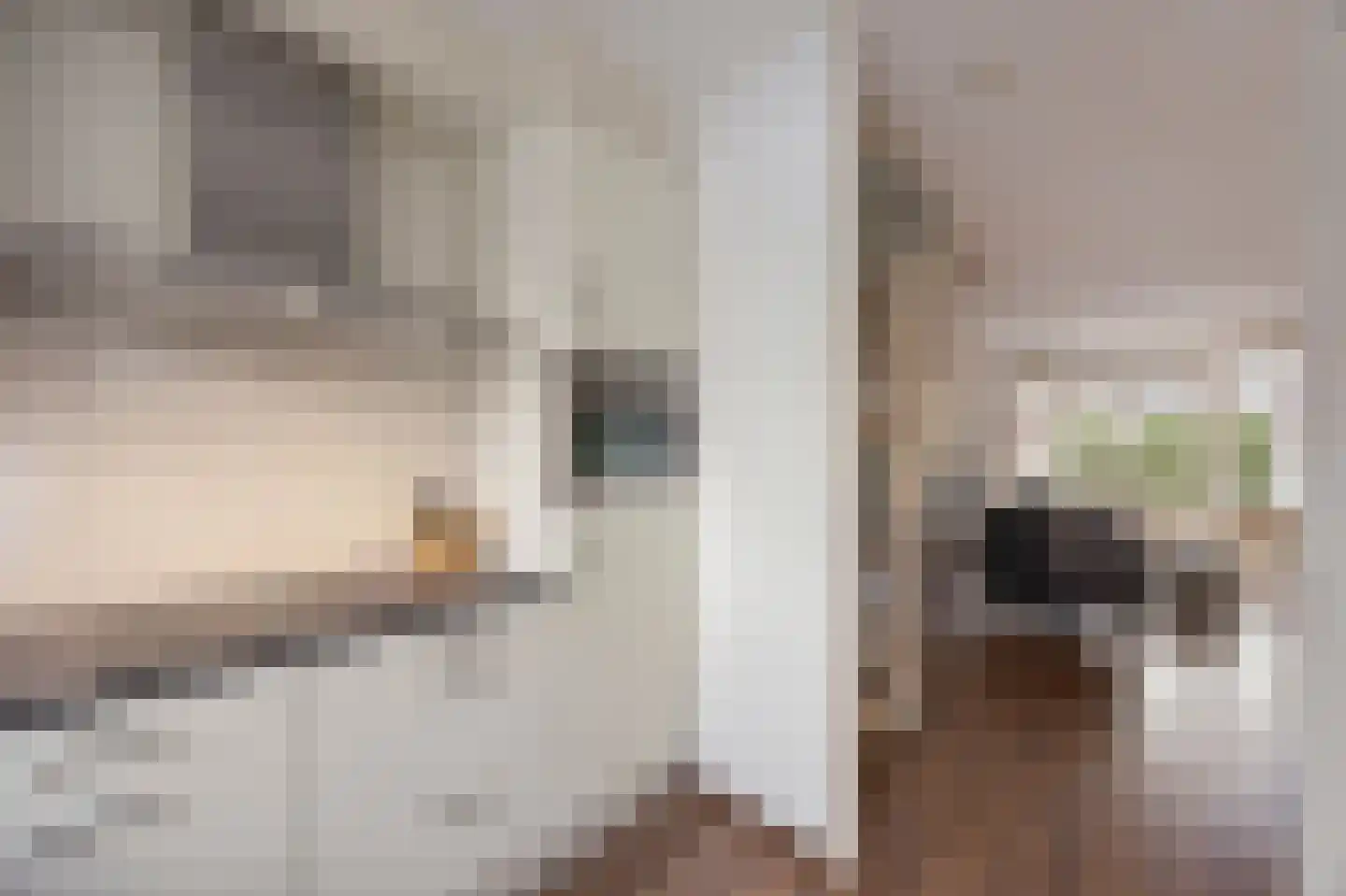 Hoefstraat 43 Horn thumbnail 11