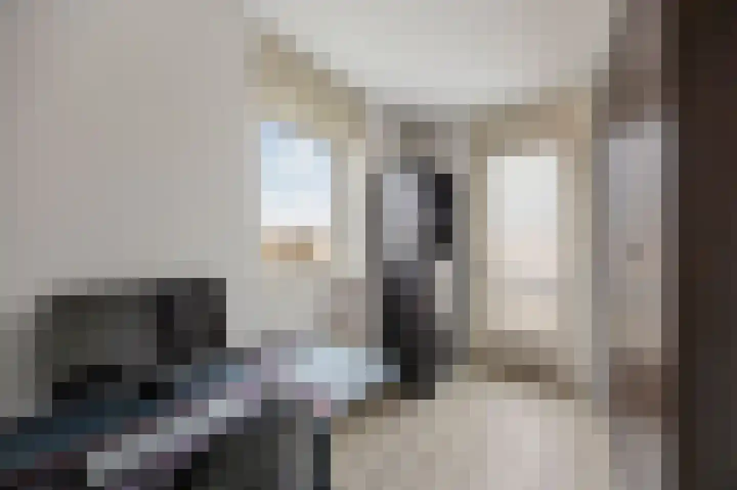 Hoefstraat 43 Horn thumbnail 16