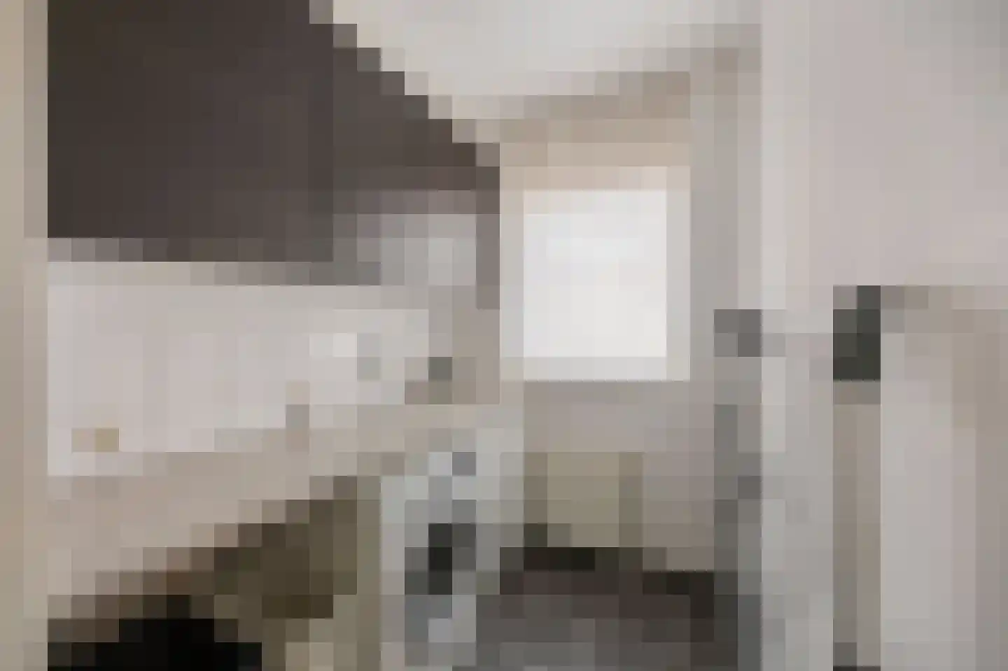 Hoefstraat 43 Horn thumbnail 18